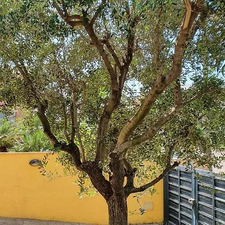 Villino Moderno Con Giardino A 90 Metri Dal Mare